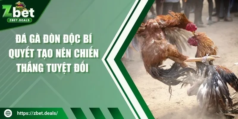 đá gà đòn độc